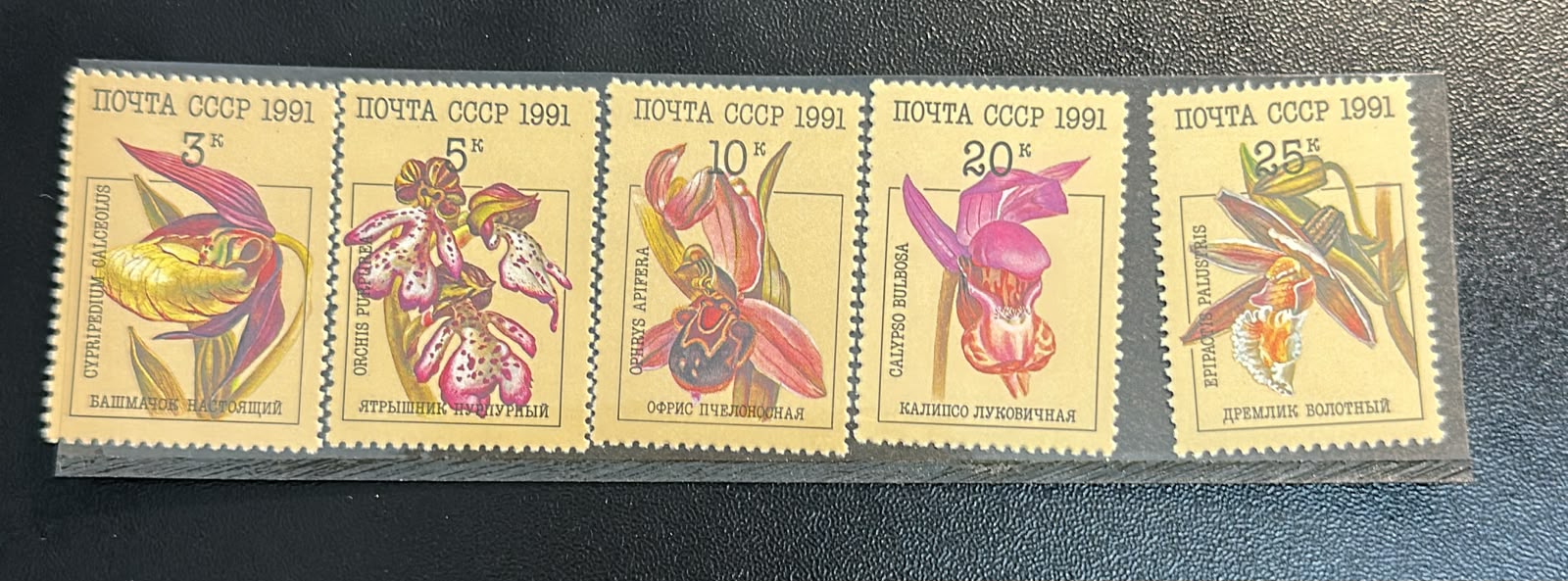 פס בולים ברית המועצות 1991 - סחלבי בר (פרחים) | USSR 1991 Wild Orchids (Flowers) Stamp Strip