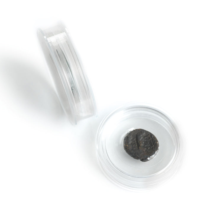 קפסולות קסם למטבעות עד 35 מ"מ / Coin capsule MAGIC CAPSULES L in pack of 6