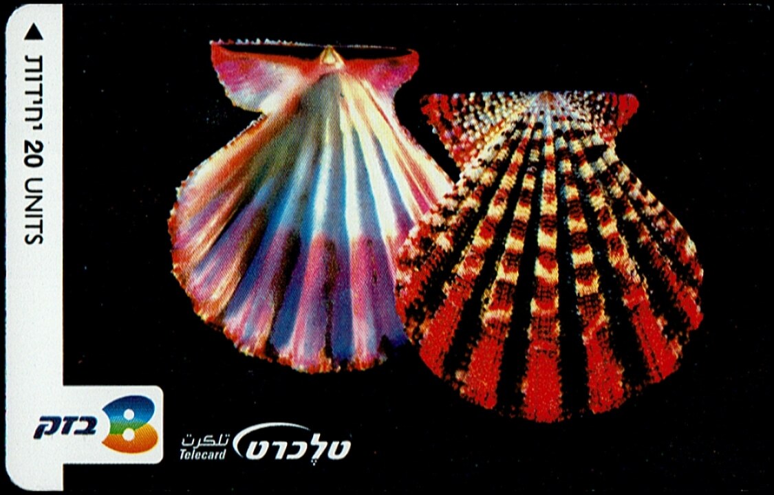 TCN 345 מסרק הדור טלקרד בזק וינטג' - צדפות מניפה (מסרק) על רקע שחור, 20 יחידות | Vintage Bezeq Telecard - Scallop Seashells on Black, 20 Units